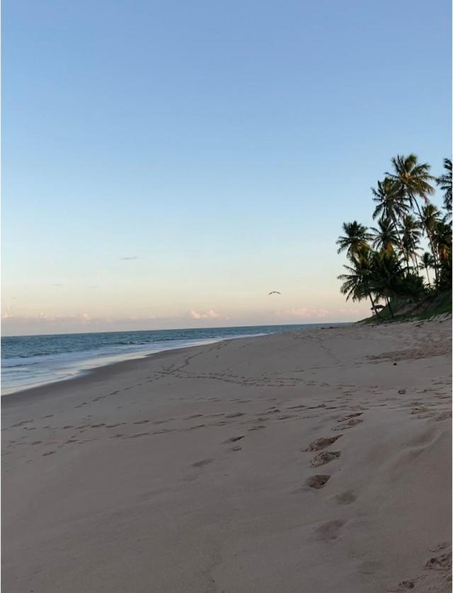 Praia Do Forte- Iberostar- Ap Luxuoso 3 Qts Mata de Sao Joao Kültér fotó